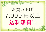 ���㤤�夲7,000�߰ʾ�����̵��