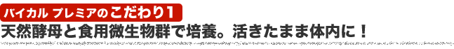 天然酵母と食用微生物群で培養。活きたまま体内に!