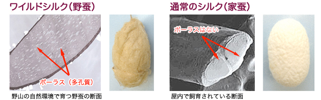 ワイルドシルクと通常のシルク