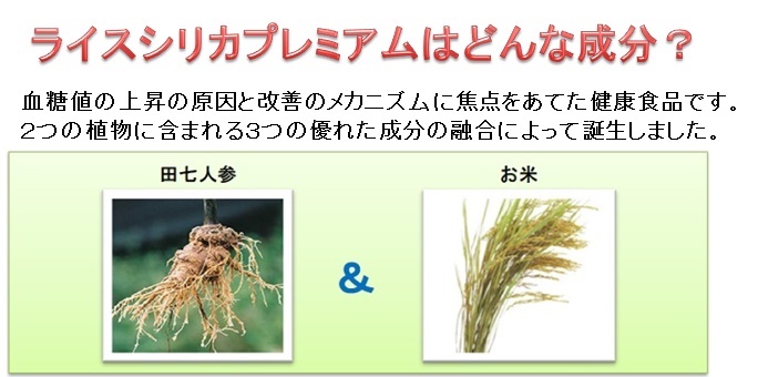 成分その1