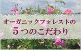 �������˥å��ե��쥹�Ȥ�5�Τ������